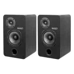 Полочная акустика Radiotehnika Sigma 1.01