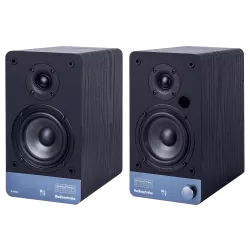 Активная полочная акустика Radiotehnika S-10NA Black Ash