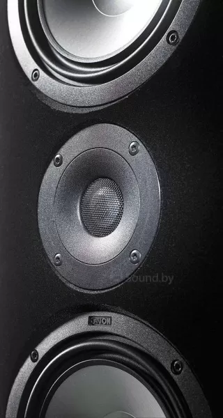 Напольная акустика Canton Ergo 670 Black