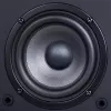 Полочная акустика Radiotehnika S-10N Black Ash