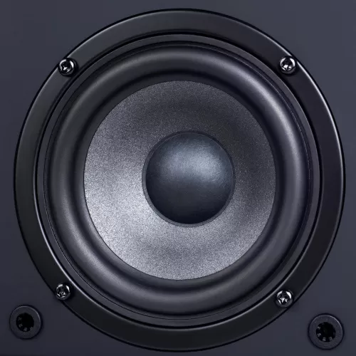 Полочная акустика Radiotehnika S-10N Black Ash