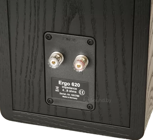 Полочная акустика Canton Ergo 620 Black
