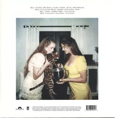Lana Del Rey – Blue Banisters (2LP)