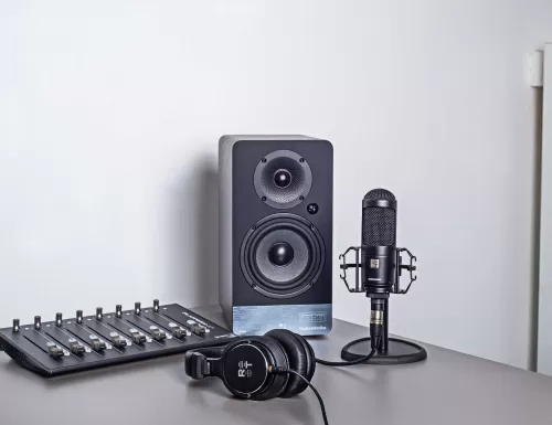 Студийный монитор Radiotehnika S-20M Black Ash