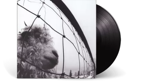 Винил Pearl Jam – Vs. (LP)