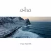 a-ha – True North (Recycled Vinyl) [2LP]