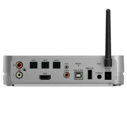 Цифровой хаб System Audio SA Stereo Hub for Silverback (with Remote)