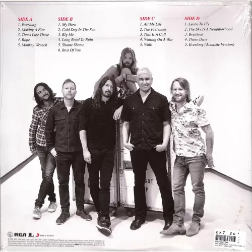 Виниловая музыкальная пластинка Foo Fighters – The Essential (2LP)