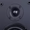 Полочная акустика Radiotehnika S-10N Black Ash