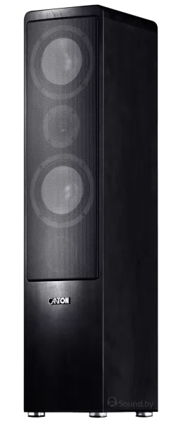 Напольная акустика Canton Ergo 670 Black