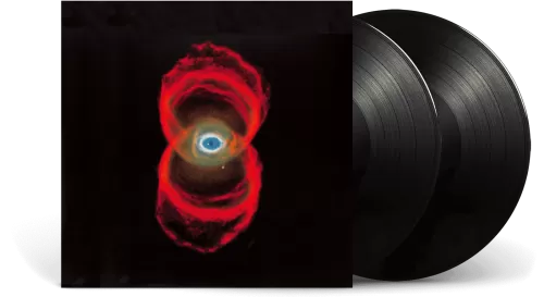 Виниловая музыкальная пластинка Pearl Jam – Binaural (2LP)