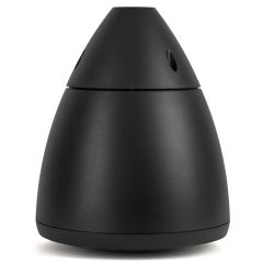 Подвесная акустика Radiotehnika RT Campana 4 Black