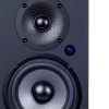 Студийный монитор Radiotehnika S-20M Black Ash