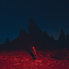Phoebe Bridgers – Punisher [LP]