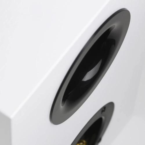 Полочная акустика Radiotehnika Vita 2.04 White Ash