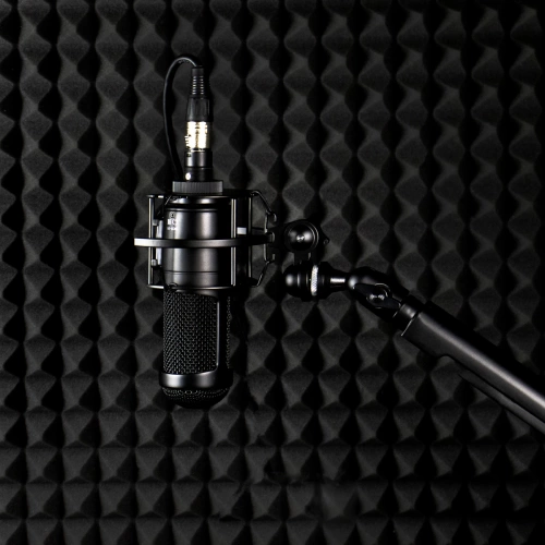 Студийный микрофон Radiotehnika MCD 01