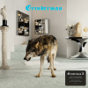 Grinderman – Grinderman 2 [LP]