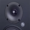 Студийный монитор Radiotehnika S-20M Black Ash