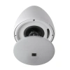 Подвесная акустика Radiotehnika RT Campana 4 White