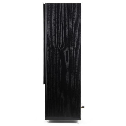 Напольная акустика Radiotehnika Gamma 3.02 Black Ash
