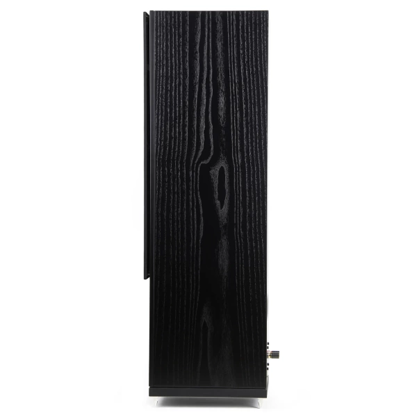 Напольная акустика Radiotehnika Gamma 3.02 Black Ash