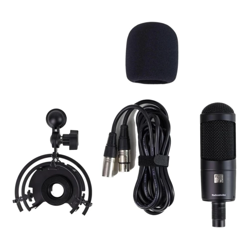 Студийный микрофон Radiotehnika MCD 01