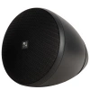 Подвесная акустика Radiotehnika RT Campana 4 Black