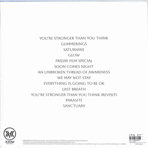 GoGo Penguin – Everything Is Going To Be OK (LP)