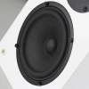 Полочная акустика Radiotehnika Vita 2.04 White Ash