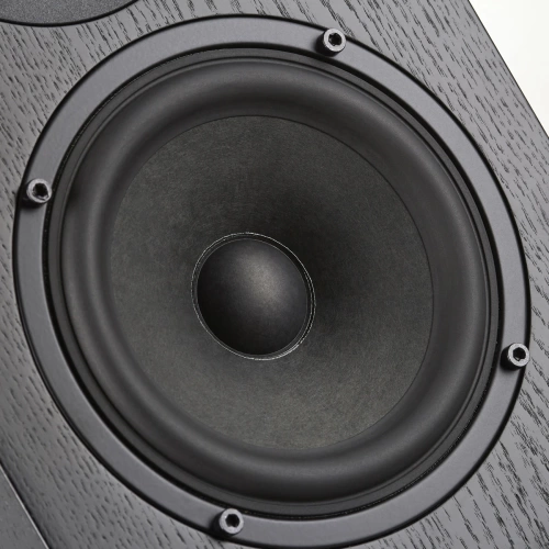 Напольная акустика Radiotehnika Vita 2.05 Black Ash